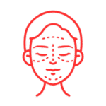 Anatomia da Face para Técnicas Injetáveis 