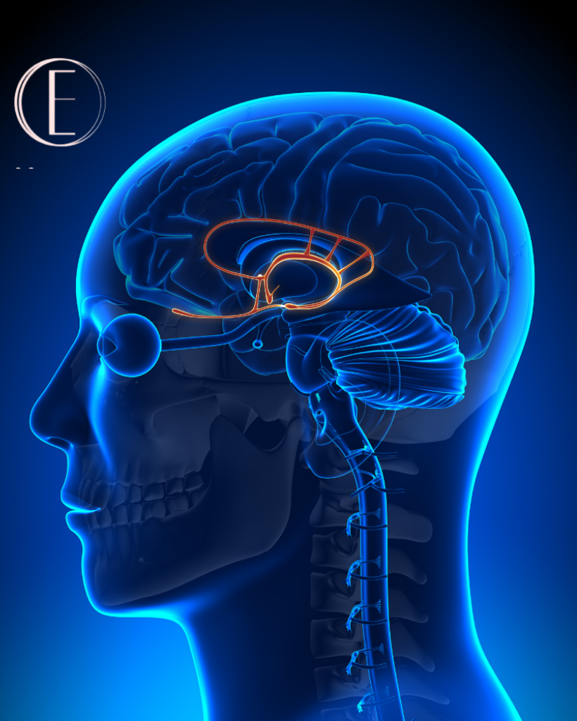 Design sem nome (23)